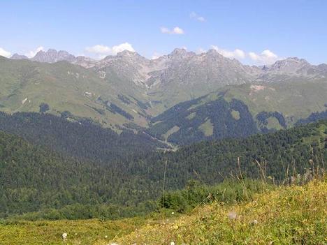 Альпийские луга на горе Ацетук